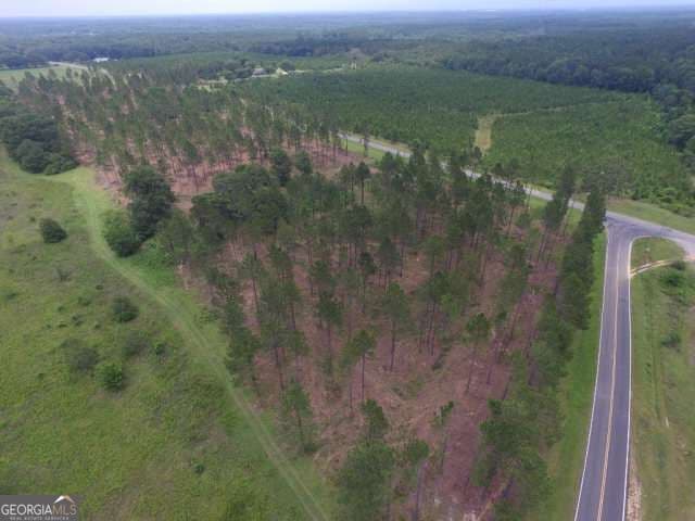 residential lot for sale at 0 Whipples Crossing LOT 2, Dudley, GA 31022 — photo 8