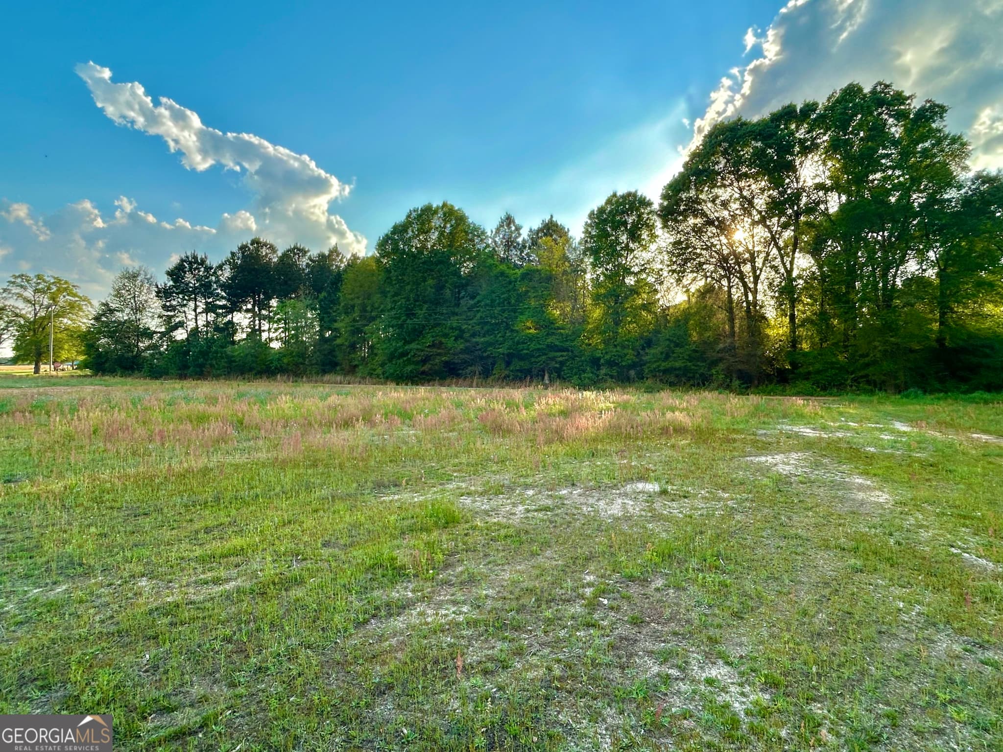 agriculture sold at 0 Robin Lane, Rochelle, GA 31079