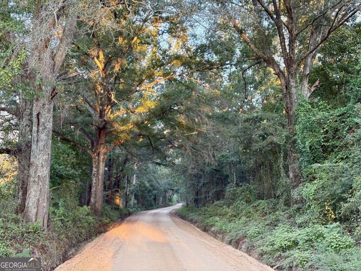 unimproved land for sale at 0 Old Moore Road 6, Portal, GA 30450 — photo 6
