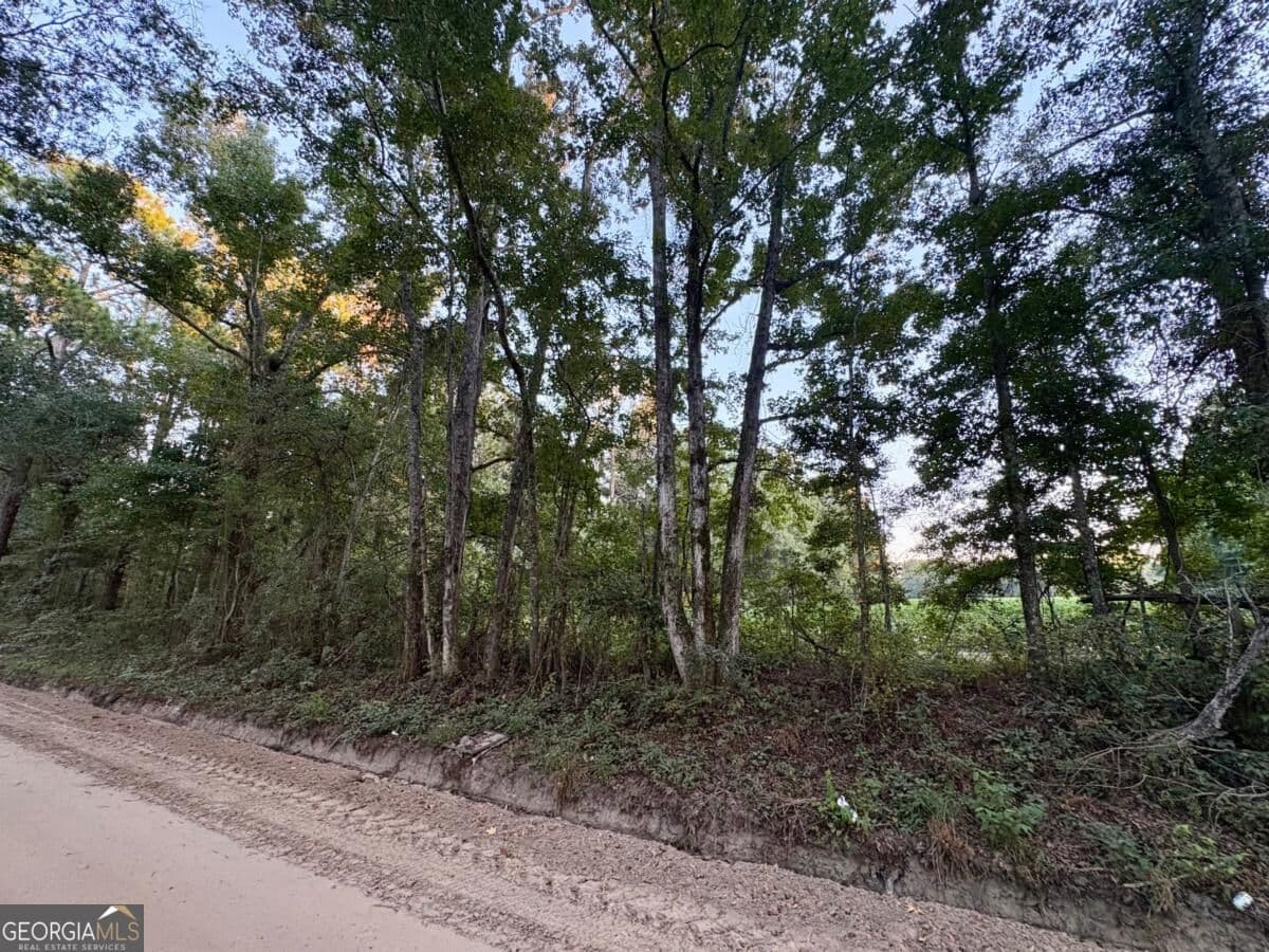 unimproved land for sale at 0 Old Moore Road 6, Portal, GA 30450 — photo 7