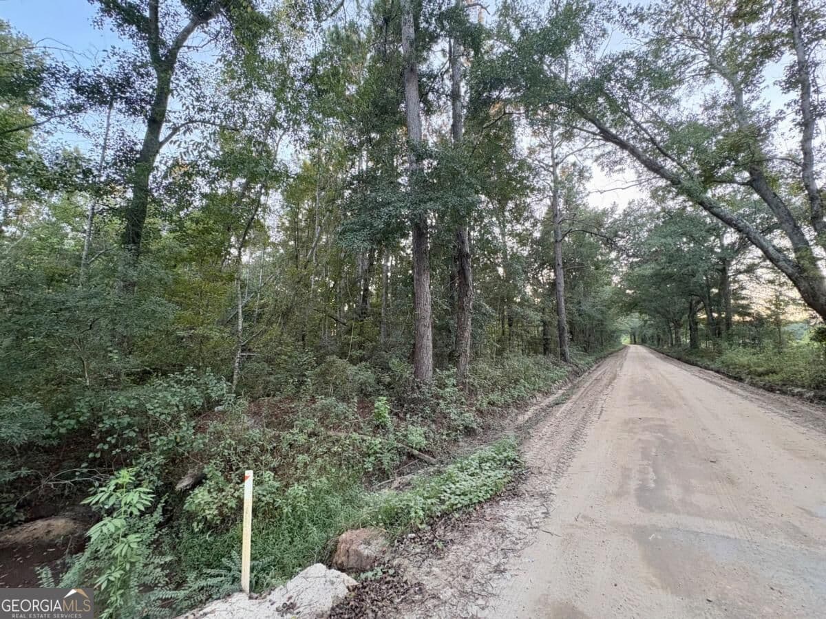 unimproved land for sale at 0 Old Moore Road 6, Portal, GA 30450 — photo 10