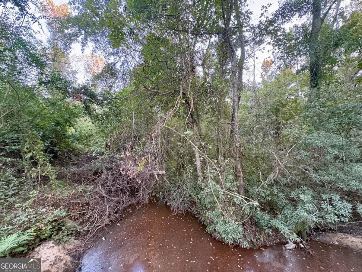 unimproved land for sale at 0 Old Moore Road 6, Portal, GA 30450 — photo 8