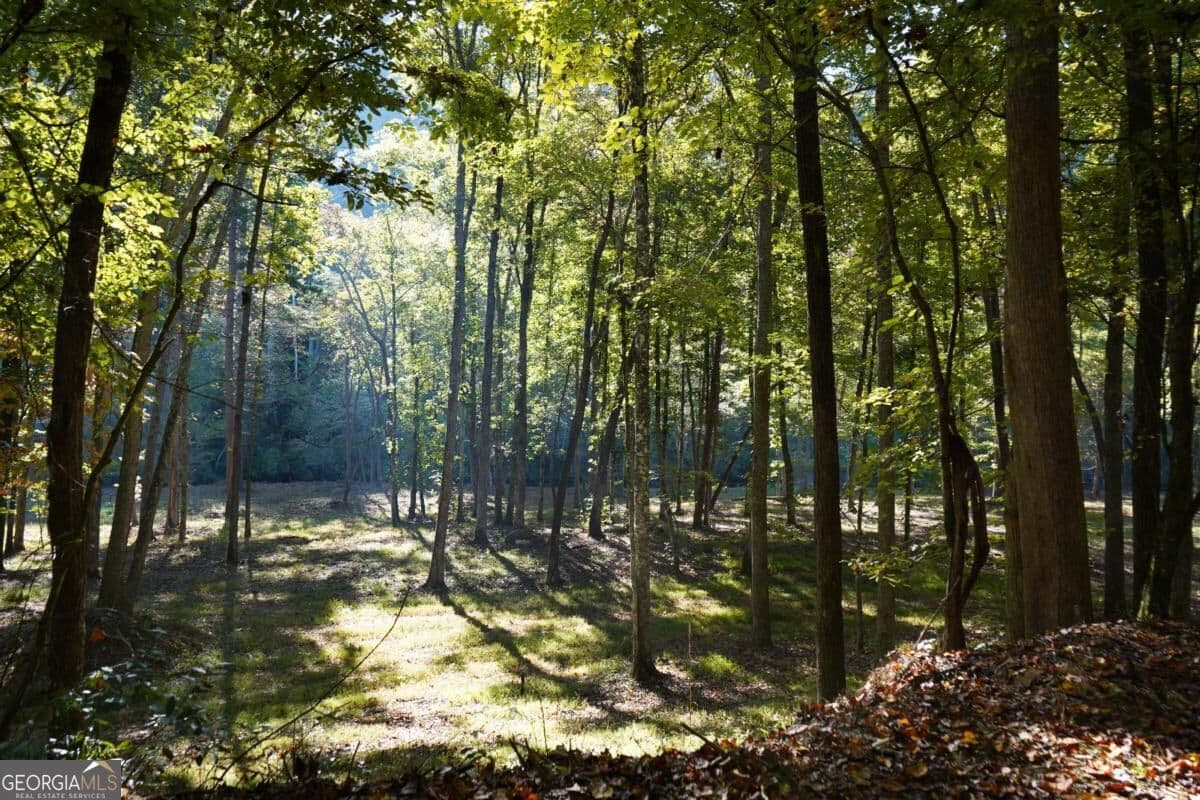 residential lot for sale at 0 River Run Way, Hayesville, NC 28904 — photo 9