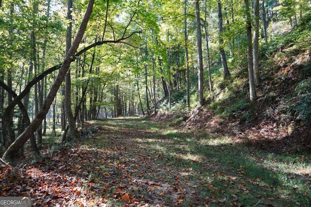 residential lot for sale at 0 River Run Way, Hayesville, NC 28904 — photo 10