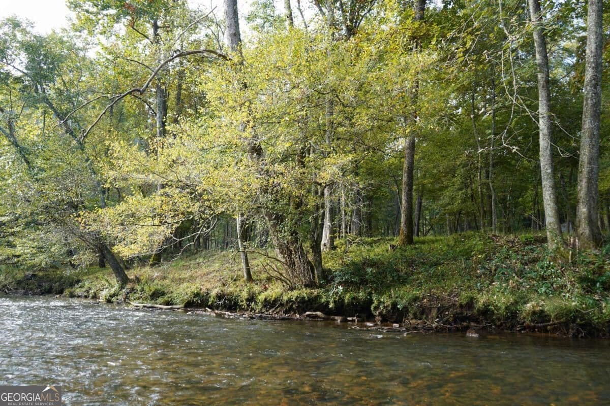 residential lot for sale at 0 River Run Way, Hayesville, NC 28904 — photo 4