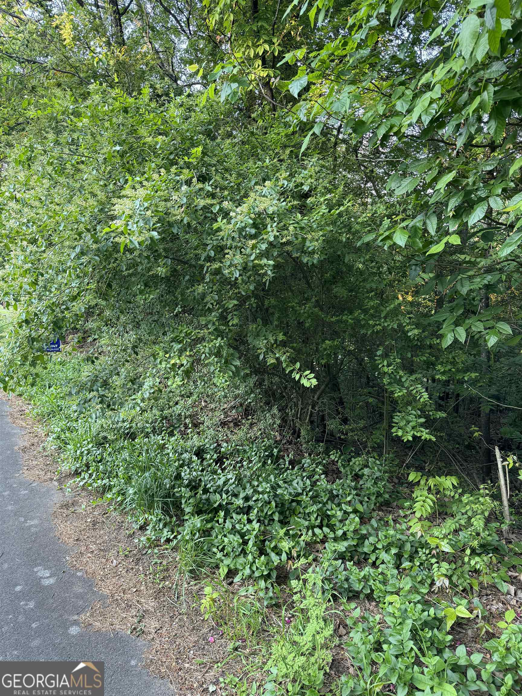 residential lot for sale at 0 Wellington Way, Rome, GA 30161 — photo 3