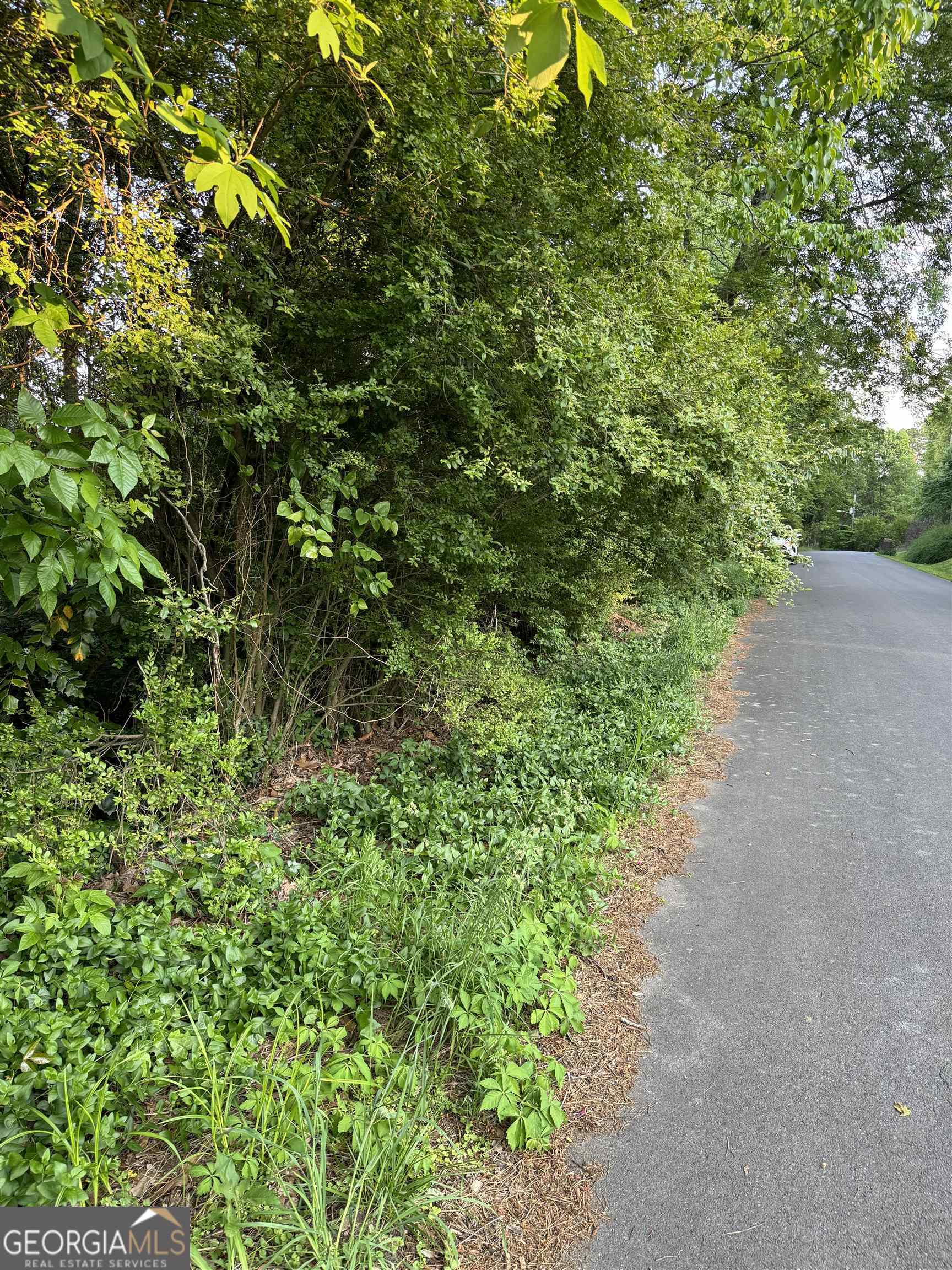 residential lot for sale at 0 Wellington Way, Rome, GA 30161 — photo 4