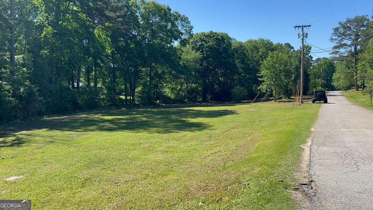 commercial for sale at 0 Highway 113, Carrollton, GA 30117 — photo 2