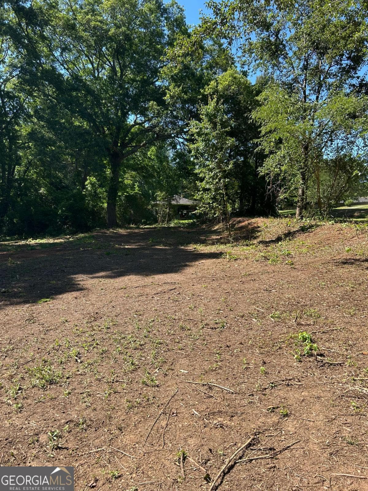 commercial for sale at 0 Highway 113, Carrollton, GA 30117 — photo 6