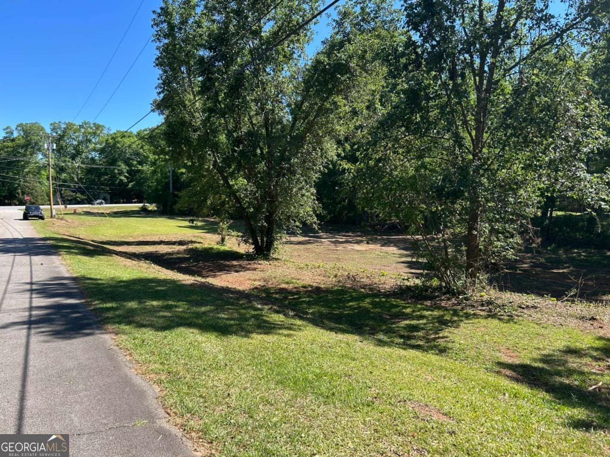 commercial for sale at 0 Highway 113, Carrollton, GA 30117 — photo 3