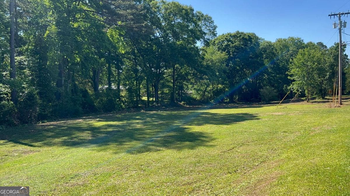 commercial for sale at 0 Highway 113, Carrollton, GA 30117 — photo 1 of 14