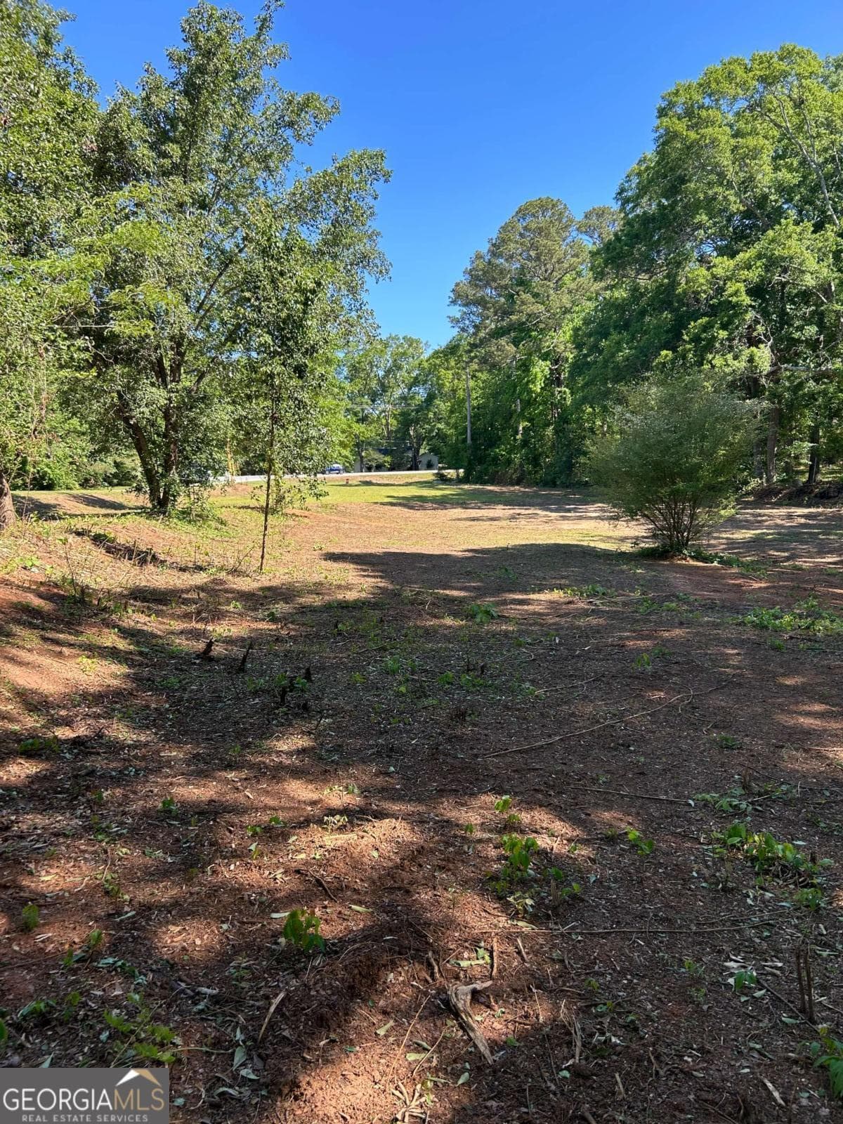 commercial for sale at 0 Highway 113, Carrollton, GA 30117 — photo 10