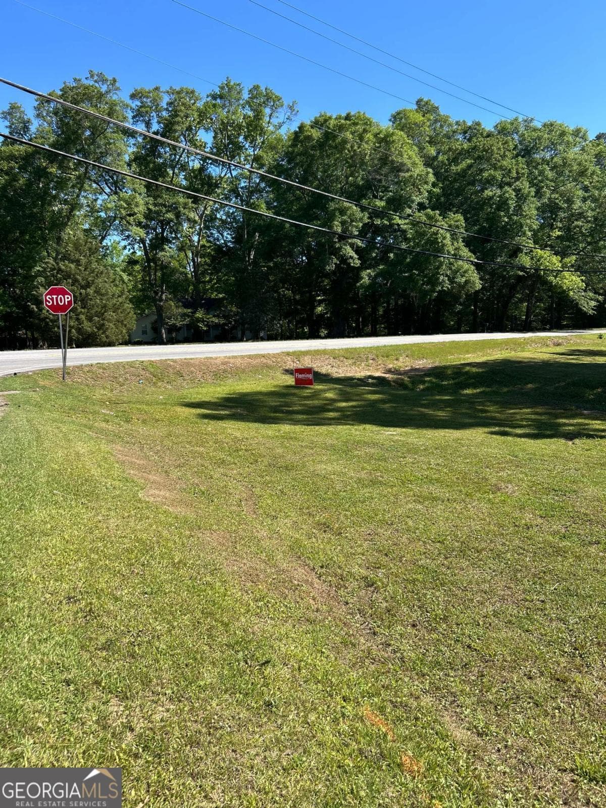 commercial for sale at 0 Highway 113, Carrollton, GA 30117 — photo 4