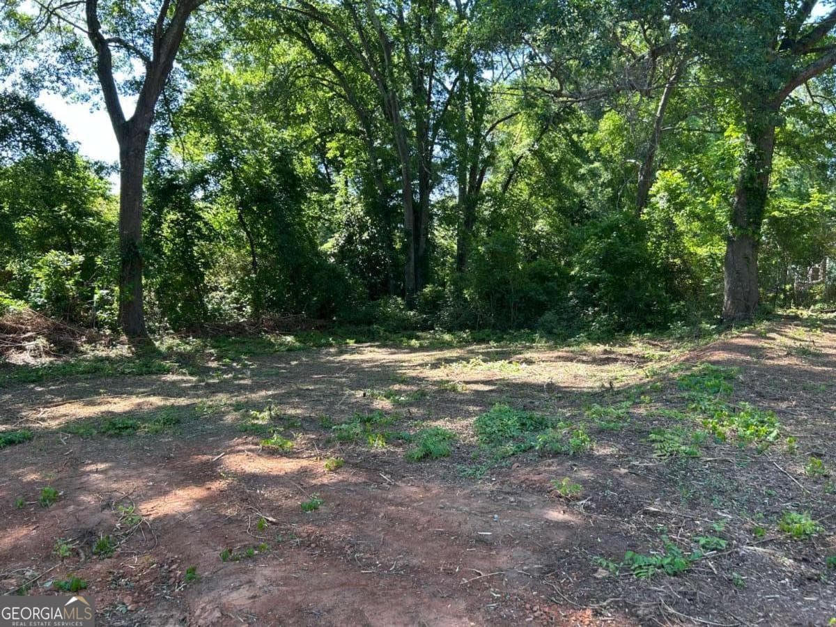 commercial for sale at 0 Highway 113, Carrollton, GA 30117 — photo 8