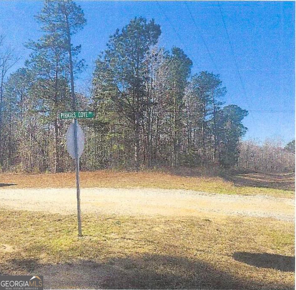 unimproved land for sale at (EASTERN 1/2 OF Thomson Hwy, Warrenton, GA 30828 — photo 4