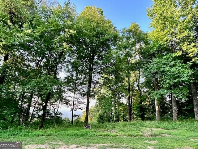 residential lot for sale at 0 Mountainside Drive LOT 17, Cleveland, GA 30528 — photo 2