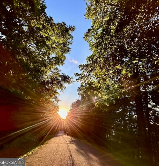 residential lot for sale at 0 Mountainside Drive LOT 17, Cleveland, GA 30528 — photo 6
