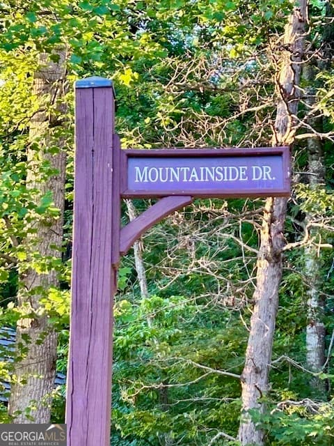 residential lot for sale at 0 Mountainside Drive LOT 17, Cleveland, GA 30528 — photo 7