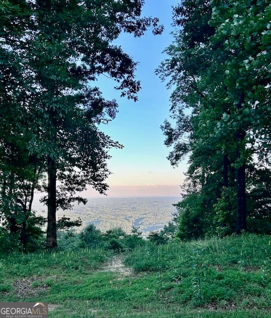 residential lot for sale at 0 Mountainside Drive LOT 17, Cleveland, GA 30528 — photo 3
