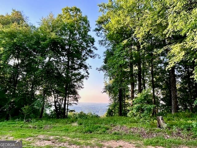 residential lot for sale at 0 Mountainside Drive LOT 17, Cleveland, GA 30528 — photo 1 of 29