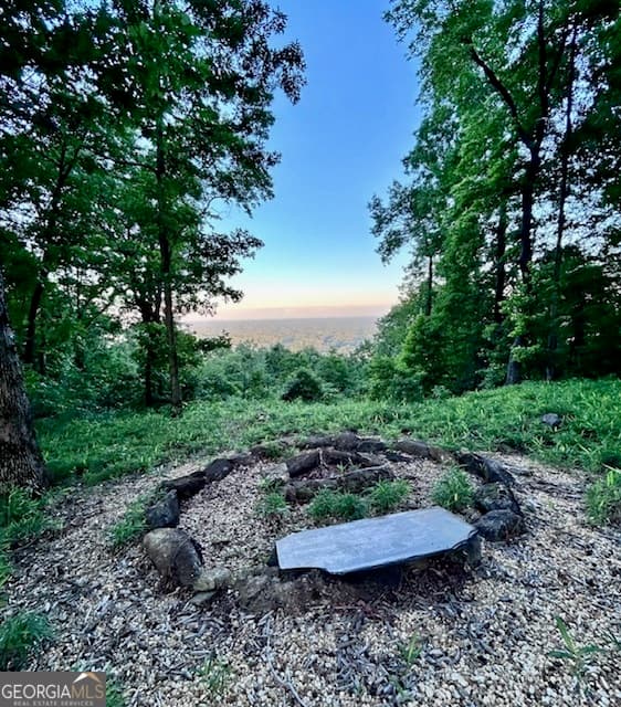 residential lot for sale at 0 Mountainside Drive LOT 17, Cleveland, GA 30528 — photo 5