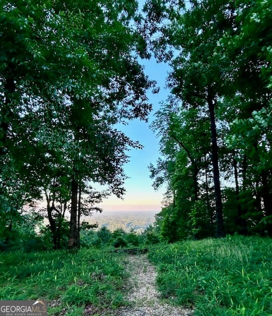 residential lot for sale at 0 Mountainside Drive LOT 17, Cleveland, GA 30528 — photo 4
