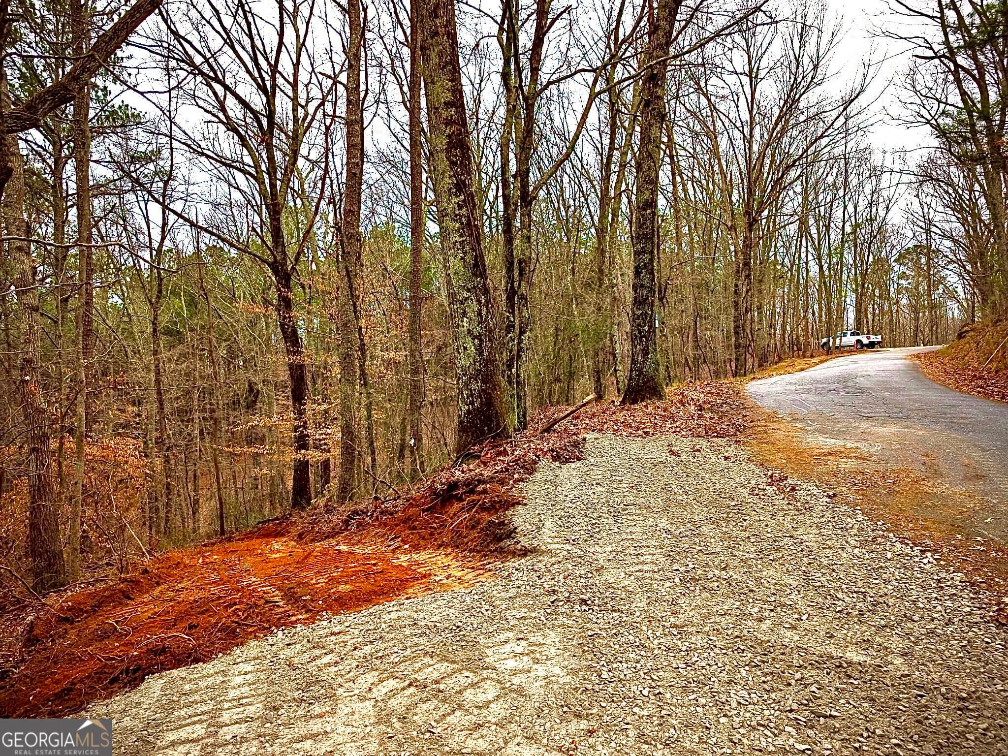 estate lot for sale at 387 Debord Drive LOT #3, Waleska, GA 30183 — photo 9