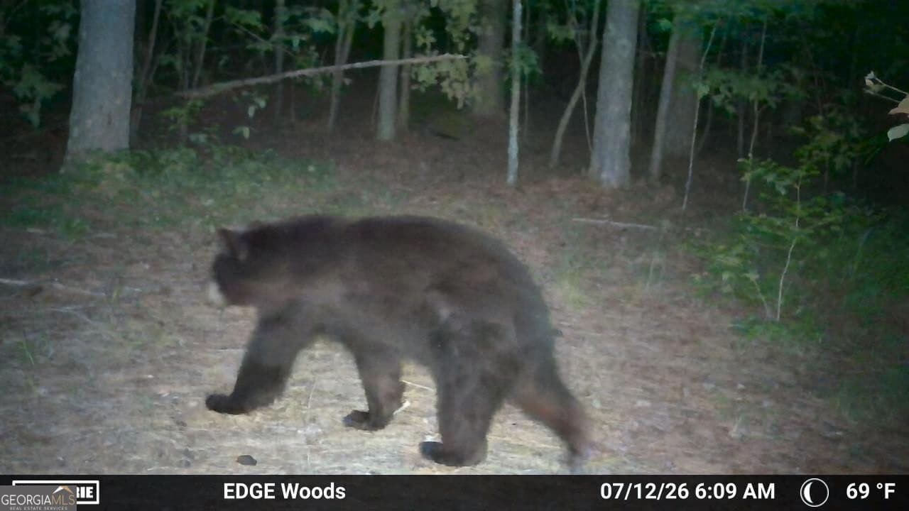 estate lot for sale at 387 Debord Drive LOT #3, Waleska, GA 30183 — photo 8