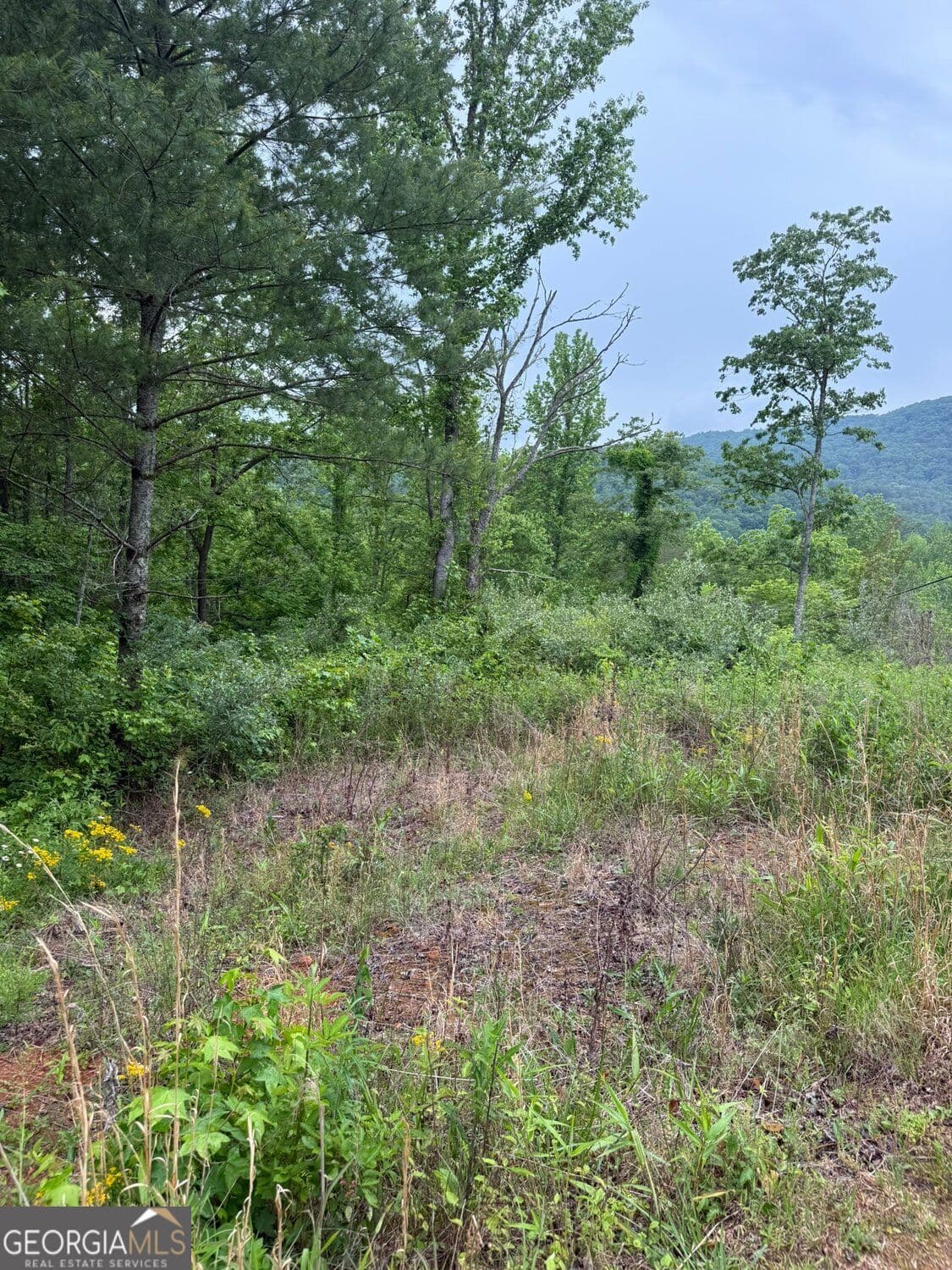 residential lot for sale at LOT 6D Meadow View Lane, Cleveland, GA 30528 — photo 2