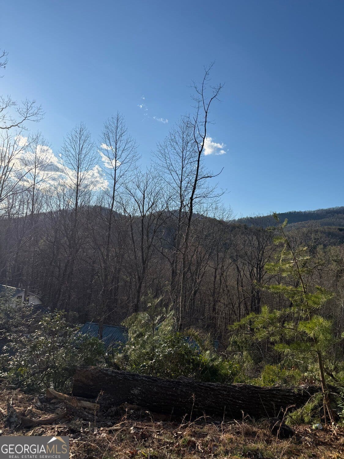residential lot for sale at LOT 6D Meadow View Lane, Cleveland, GA 30528 — photo 6