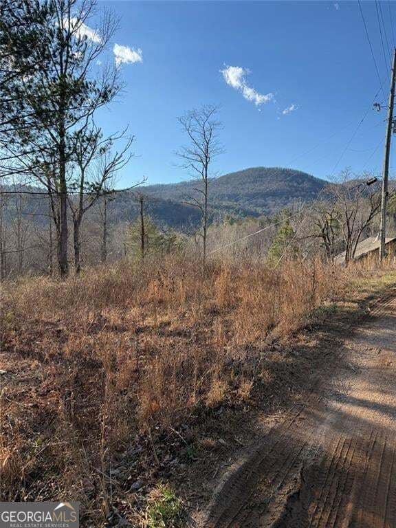 residential lot for sale at LOT 6D Meadow View Lane, Cleveland, GA 30528 — photo 7