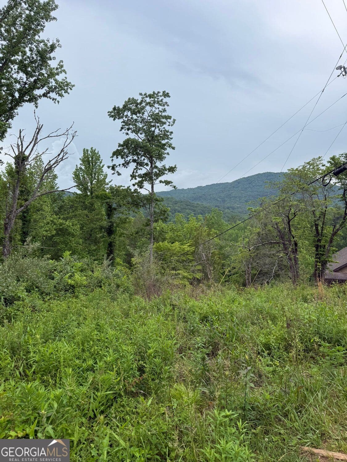residential lot for sale at LOT 6D Meadow View Lane, Cleveland, GA 30528 — photo 3