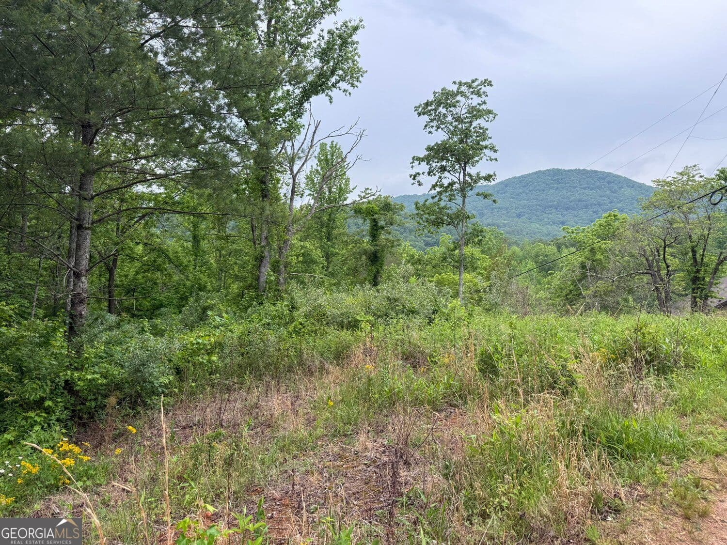 residential lot for sale at LOT 6D Meadow View Lane, Cleveland, GA 30528 — photo 1 of 8