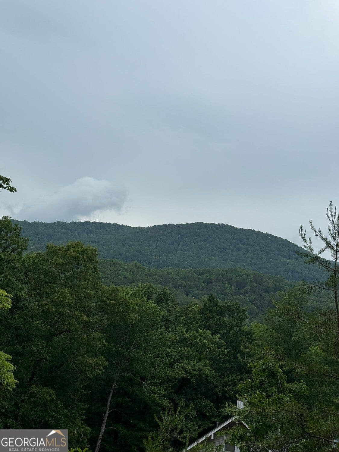 residential lot for sale at LOT 6D Meadow View Lane, Cleveland, GA 30528 — photo 5