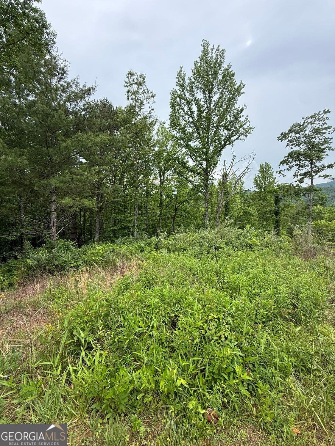 residential lot for sale at LOT 6D Meadow View Lane, Cleveland, GA 30528 — photo 4