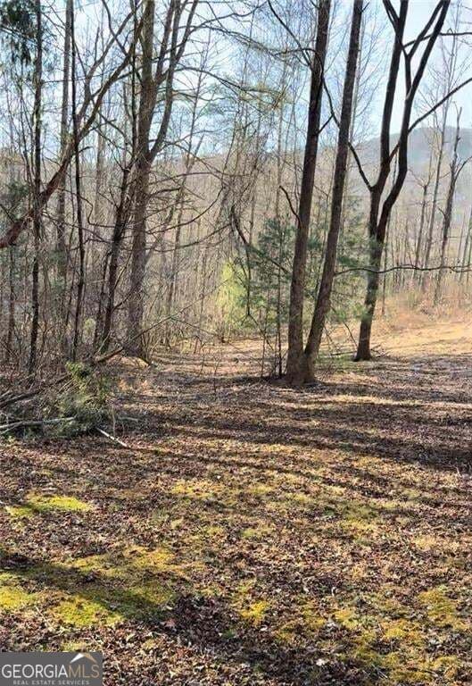 residential lot for sale at LOT 6D Meadow View Lane, Cleveland, GA 30528 — photo 8