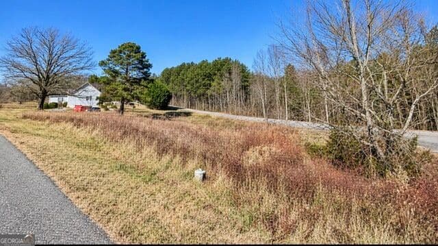 residential lot for sale at LOT 20 Gumlog Road, Blairsville, GA 30512 — photo 3