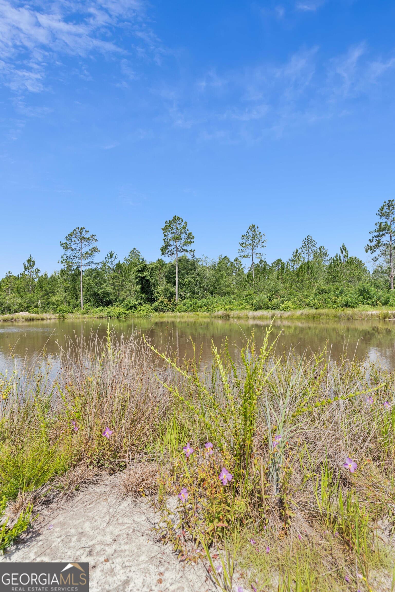 2 bedroom, 2 bathroom, 1,280 sq ft manufactured home,single family residence for sale at 6064 S Us Highway 301, Jesup, GA 31546 — photo 7