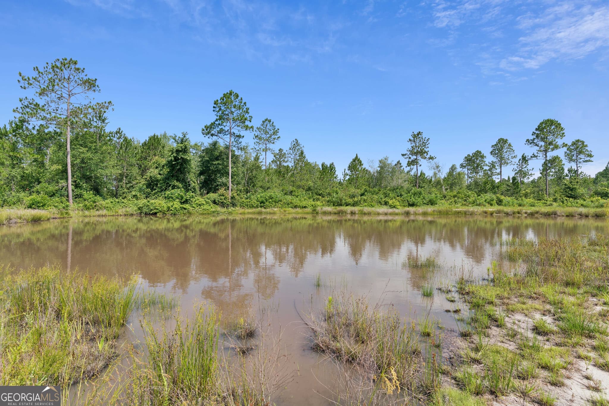 2 bedroom, 2 bathroom, 1,280 sq ft manufactured home,single family residence for sale at 6064 S Us Highway 301, Jesup, GA 31546 — photo 9