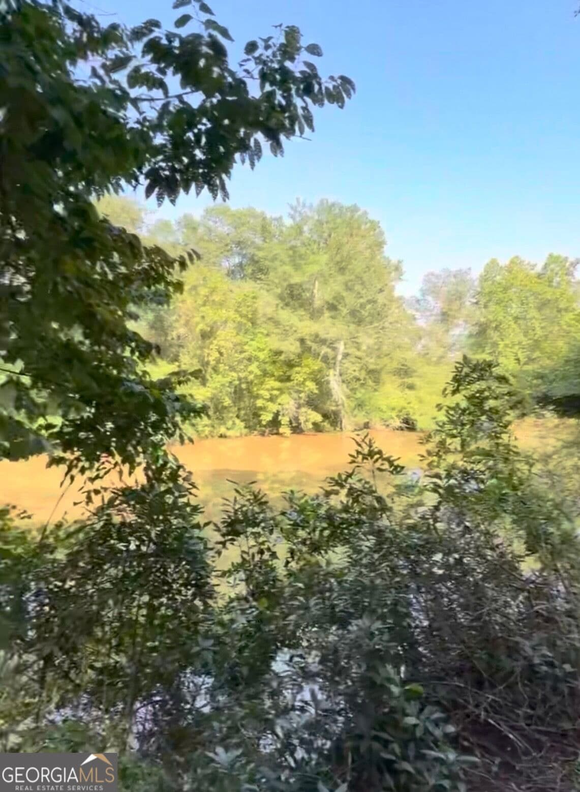 estate lot for sale at 0 County Road 432 LOT 4 L4, Woodland, AL 36280 — photo 6