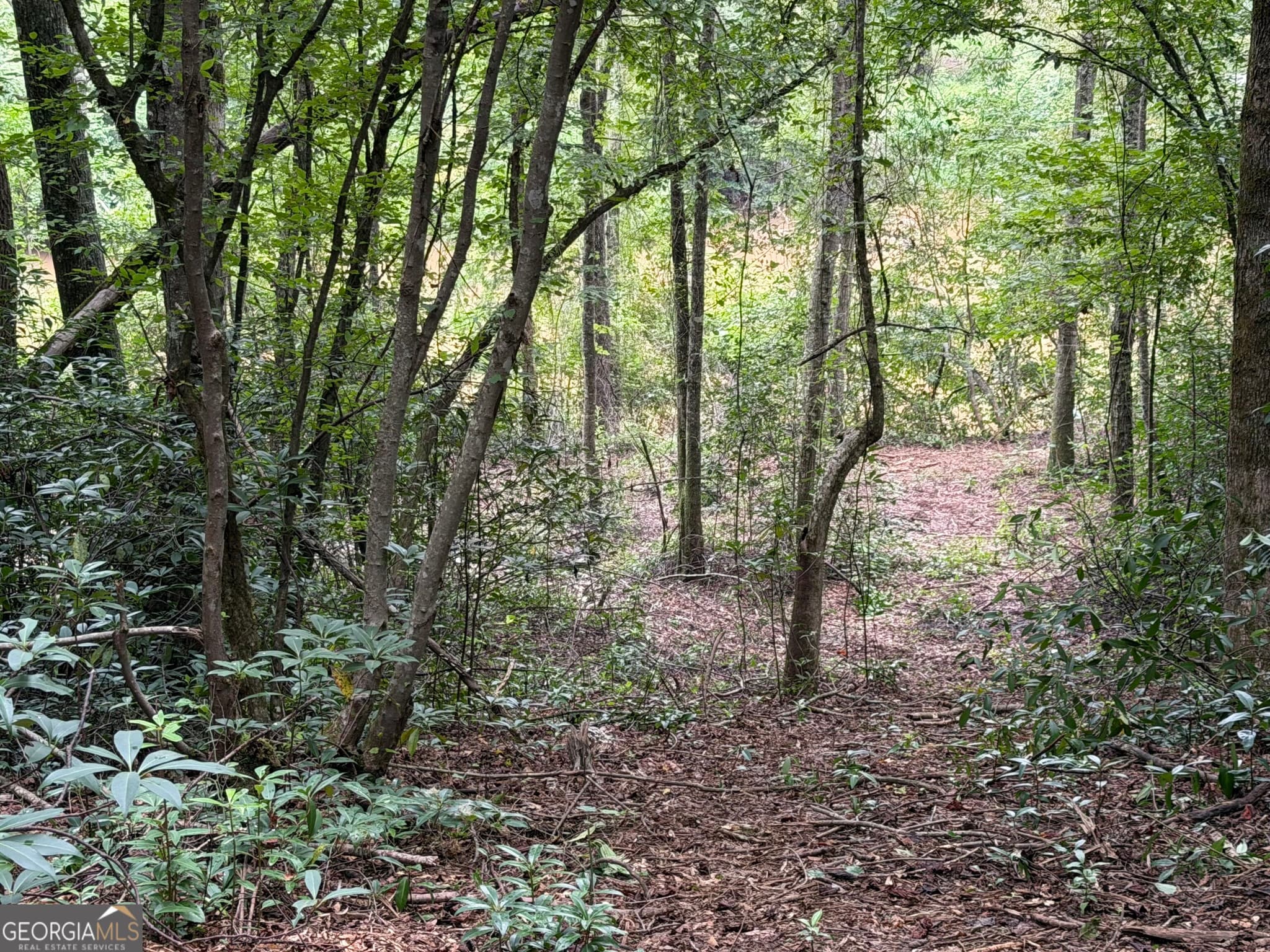 estate lot for sale at 0 County Road 432 LOT 4 L4, Woodland, AL 36280 — photo 7