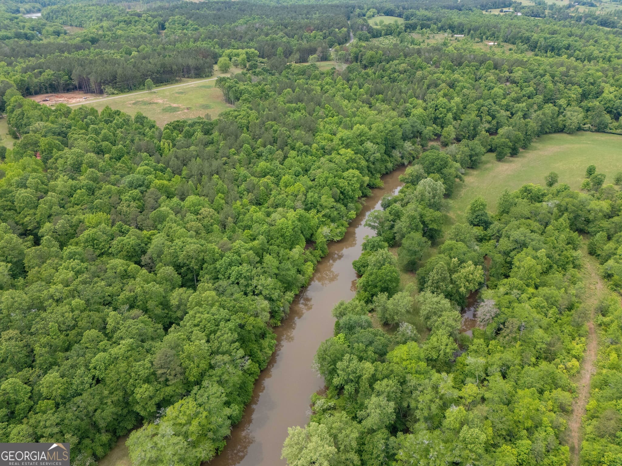 estate lot for sale at 0 County Road 432 LOT 4 L4, Woodland, AL 36280 — photo 5