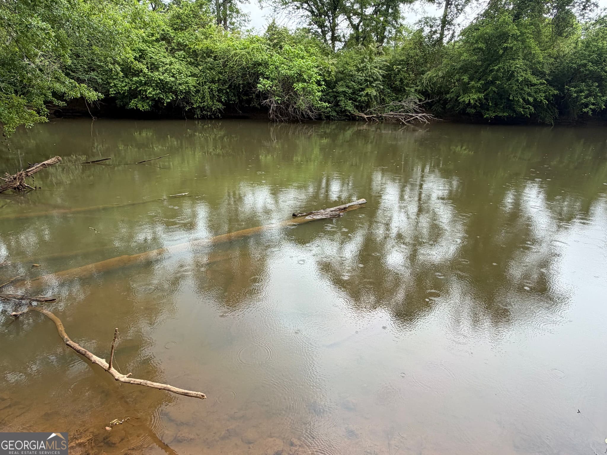 estate lot for sale at 0 County Road 432 LOT 4 L4, Woodland, AL 36280 — photo 10