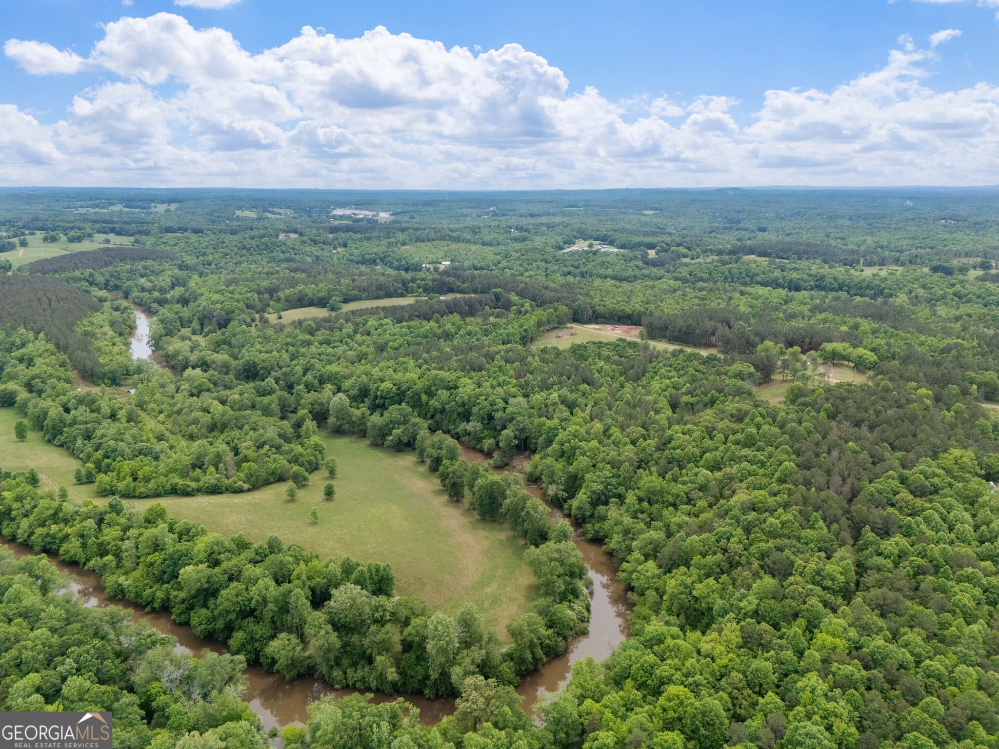 estate lot for sale at 0 County Road 432 LOT 4 L4, Woodland, AL 36280 — photo 4