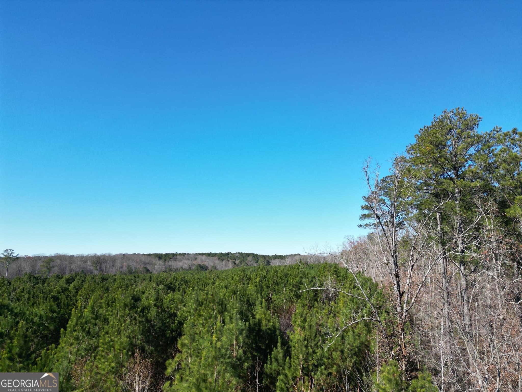agriculture for sale at 0 Jaudon Road (30.03 ACRE LOT), Elberton, GA 30635 — photo 3