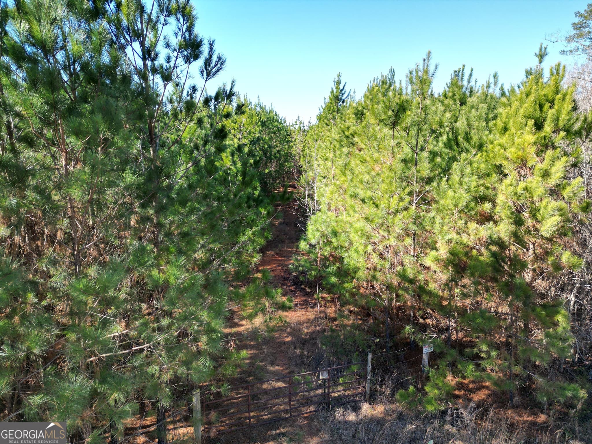 agriculture for sale at 0 Jaudon Road (30.03 ACRE LOT), Elberton, GA 30635 — photo 1 of 4
