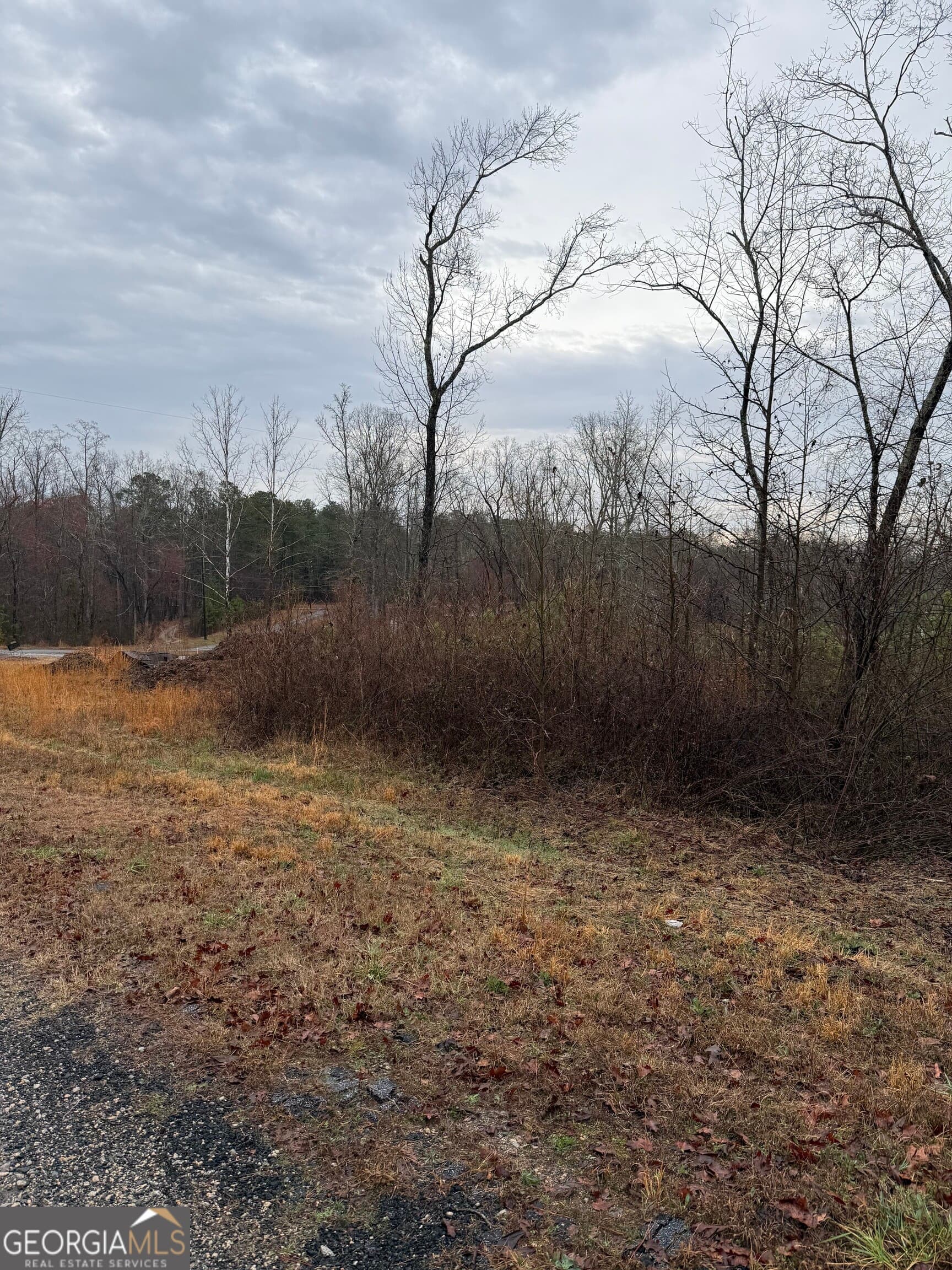 residential lot for sale at 874 Forrester Cemetery Road, Covington, GA 30014 — photo 2