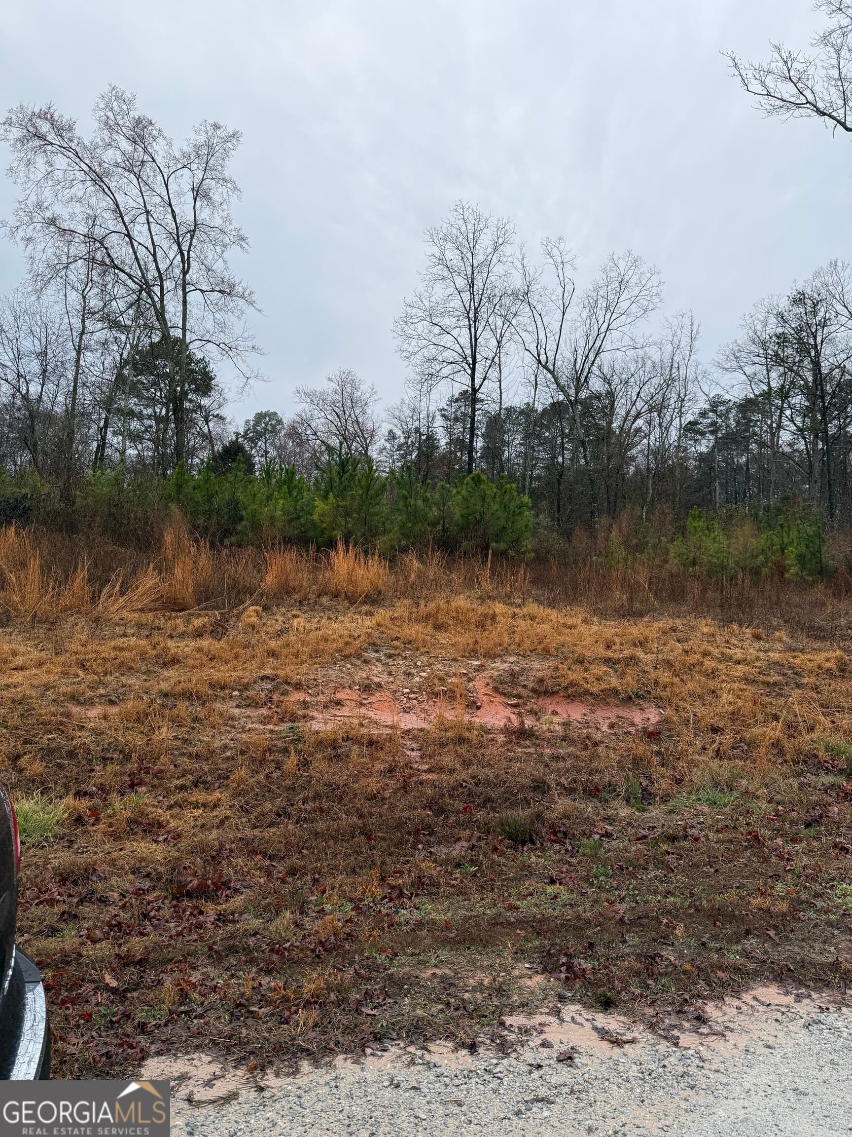 residential lot for sale at 874 Forrester Cemetery Road, Covington, GA 30014 — photo 3