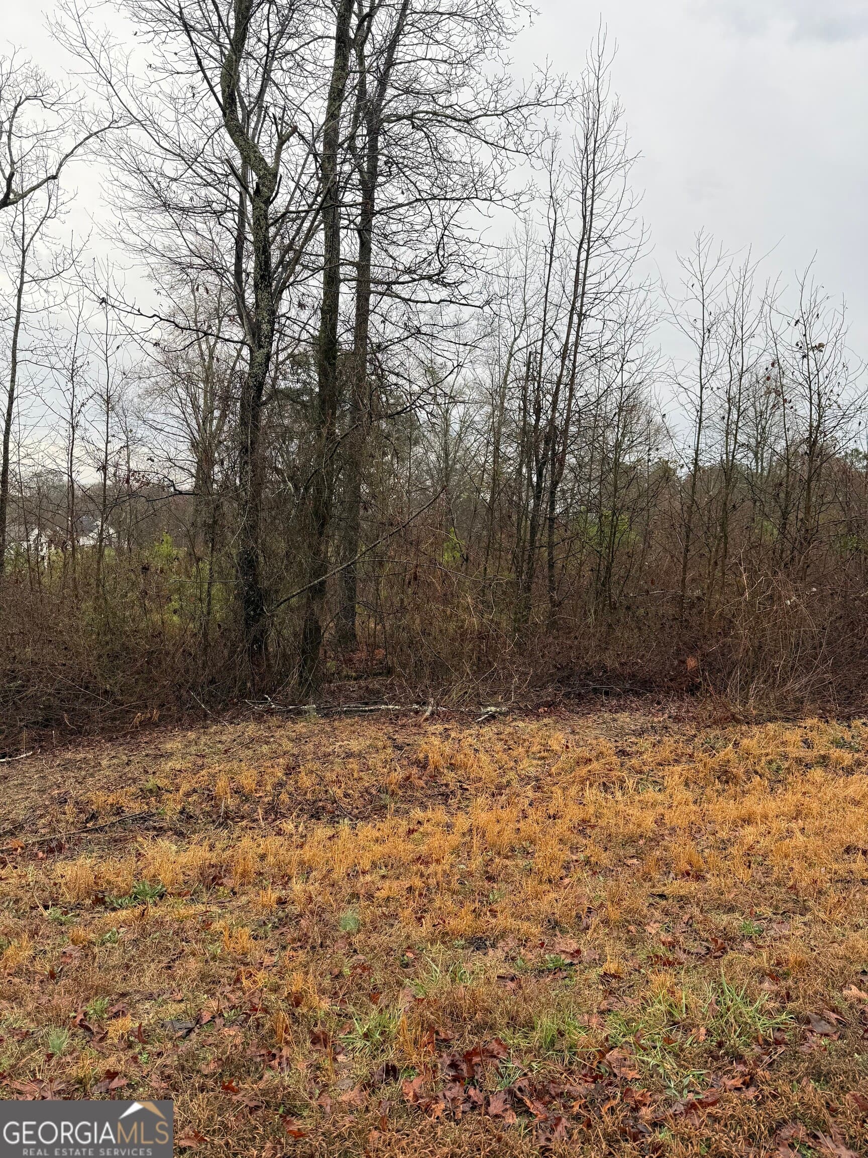 residential lot for sale at 874 Forrester Cemetery Road, Covington, GA 30014 — photo 1 of 4