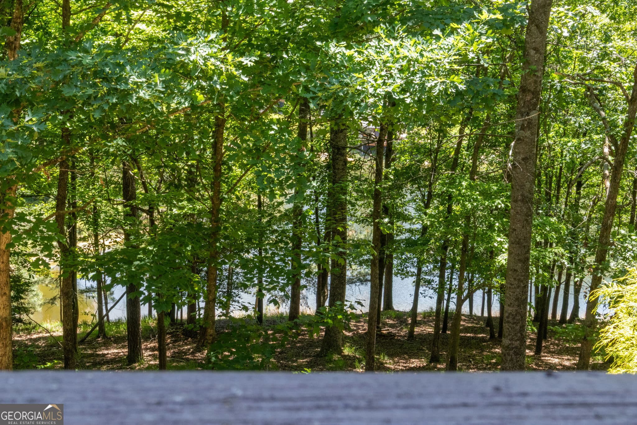 3 bedroom, 3 bathroom, 2,241 sq ft cabin,single family residence for sale at 85 Misty Hollow Ridge, Ellijay, GA 30536 — photo 6